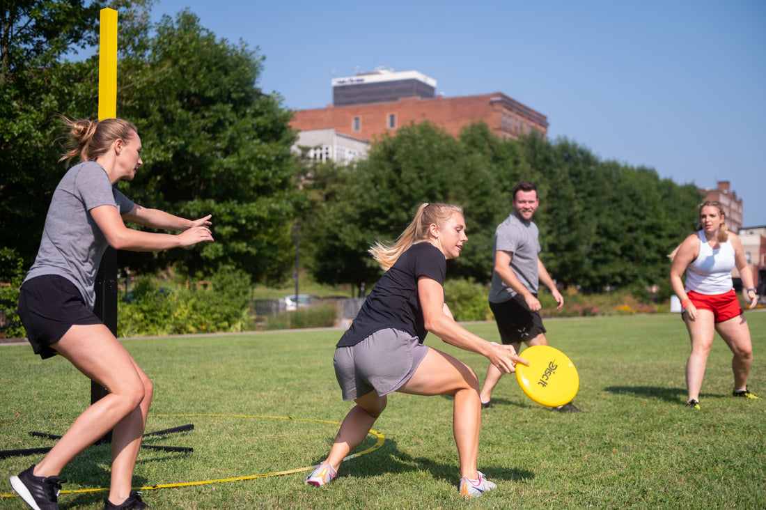Everything you ever wanted to know about Disc It